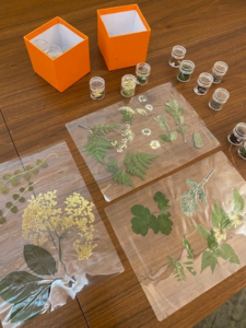 Ateliers créatifs plantes sauvages avec Géraldine Lemaître Renault