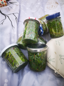 photo par Géraldine Lemaître Renault